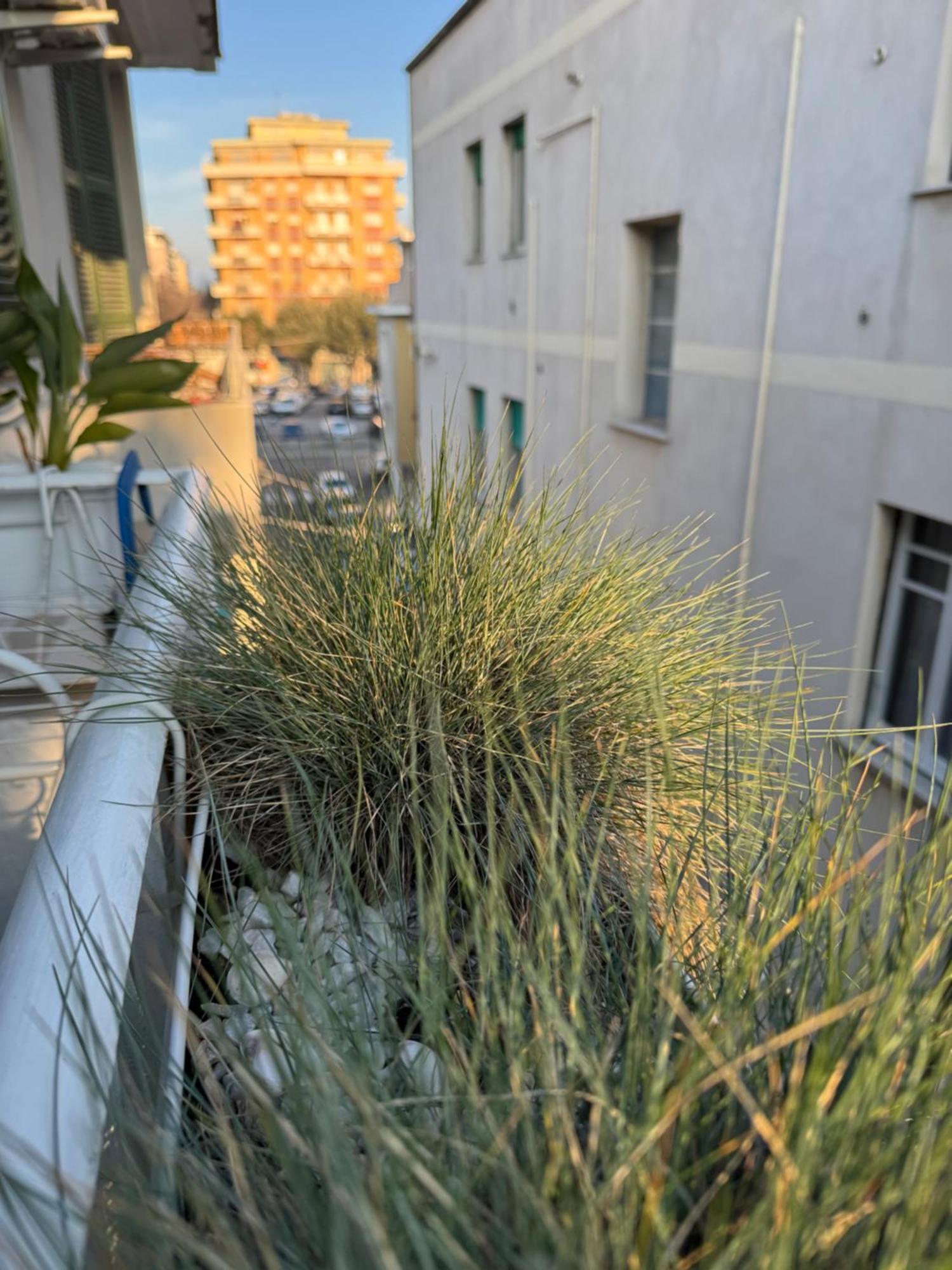 Okra Apartment Pescara Centro المظهر الخارجي الصورة